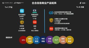 合合信息荣膺2018上海软件双百强，以人工智能驱动应用创新再启新程