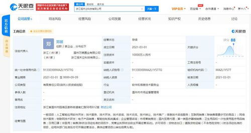 森马关联企业参股成立新公司，拓展人工智能应用软件开发新领域