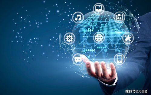 元创猫 以人工智能应用软件开发助力教育改革与行业创新